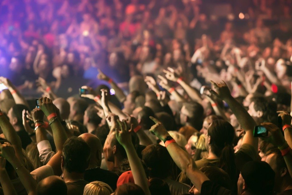 Crowd at a music concert