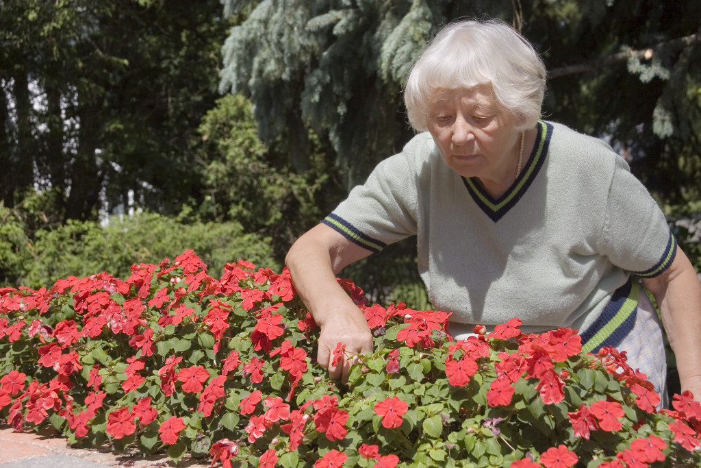 an elderly woman doing gardening