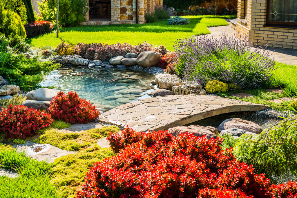 Large garden pond